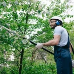 Garage Cleanout Dumpster Rental: How to Dispose of Clutter in One Place