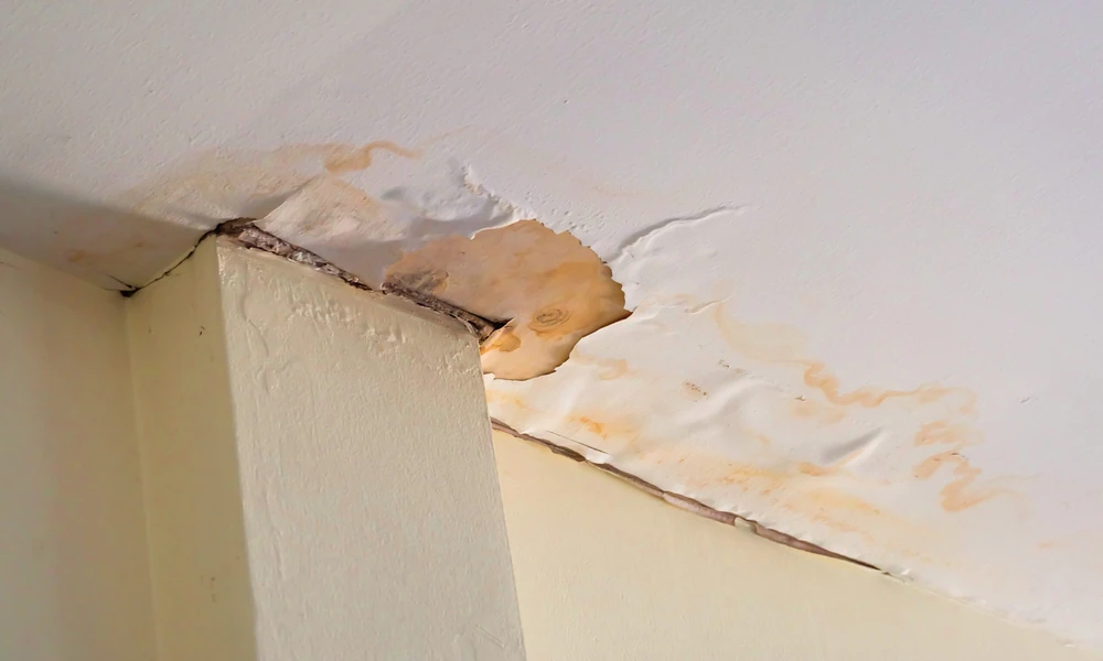 Is That Ceiling Stain Telling the Truth About Your Roof?
